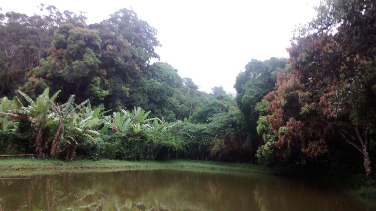 Estancia Vale Das Flores Pacoti Exterior foto